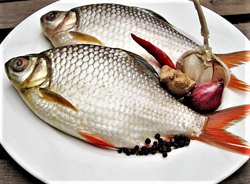 4 bộ phận chứa chất độc của cá mà bạn nên tránh xa