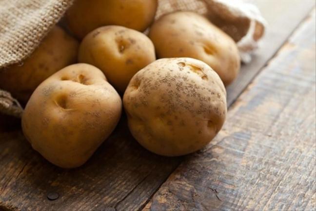 Ăn khoai tây sống có thể bị ngộ độc thực phẩm