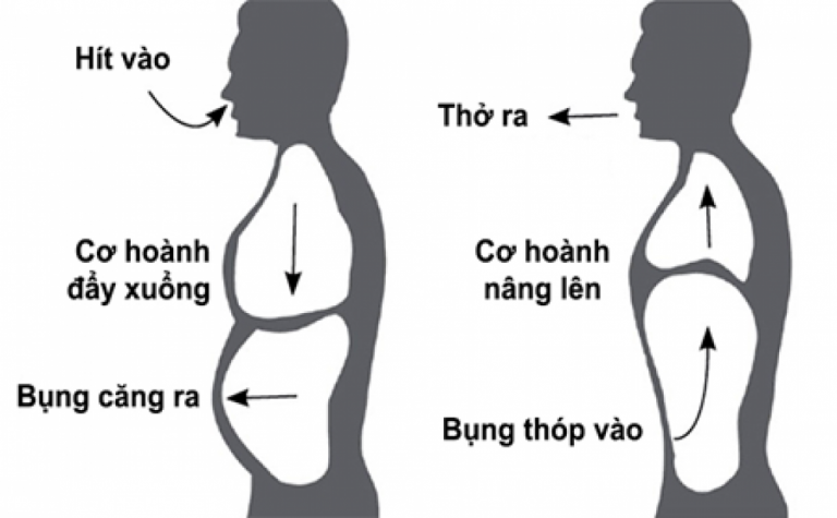 Các Bài Tập Hít Thở đúng Cách để Giảm Mỡ Bụng Cải Thiện Sắc Vóc 