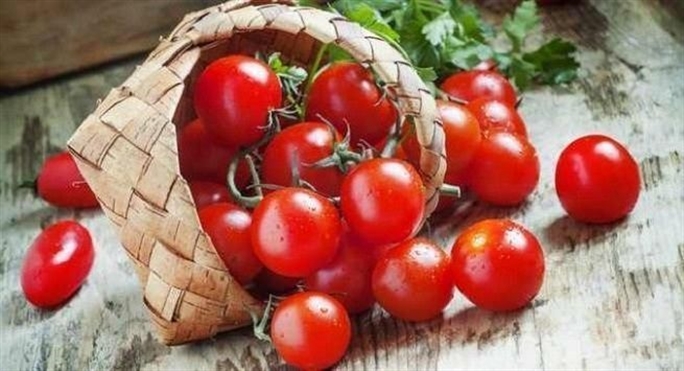 Trong cà chua chứa chất chống oxy hóa-lycopene